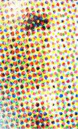 北村環 作品写真